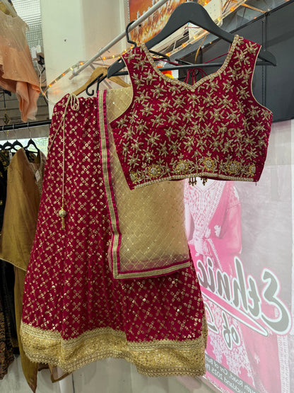 Beautiful designer heavily embroidery lengha choli suit