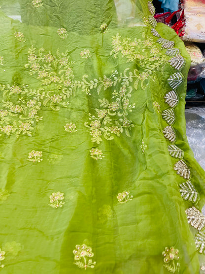 Beautiful designer lucknowi embroidery saree