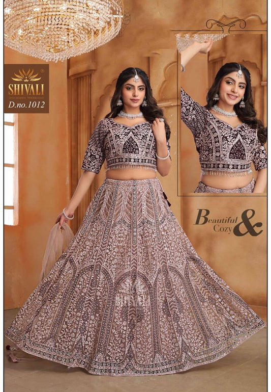 Beautiful designer lengha choli