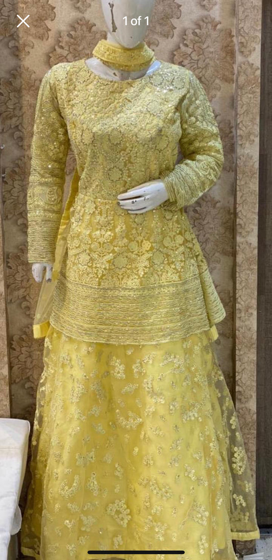 Beautiful designer lengha style anarkali suit