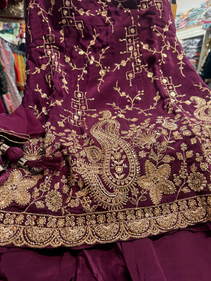 Beautiful designer plazo suit