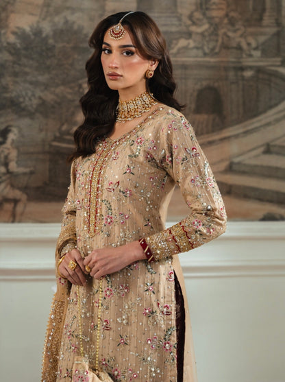 Beautiful designer plazo suit