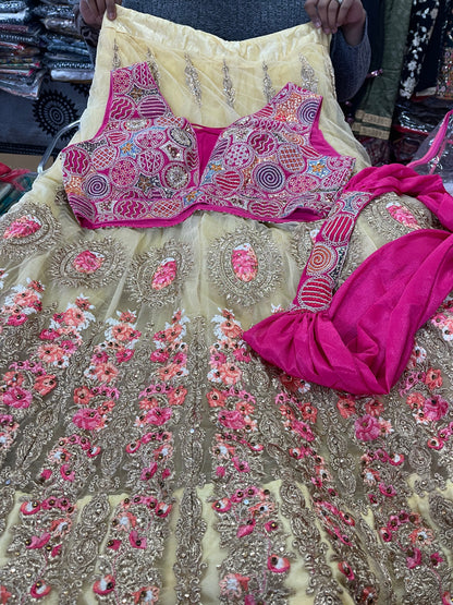 Beautiful designer lengha choli