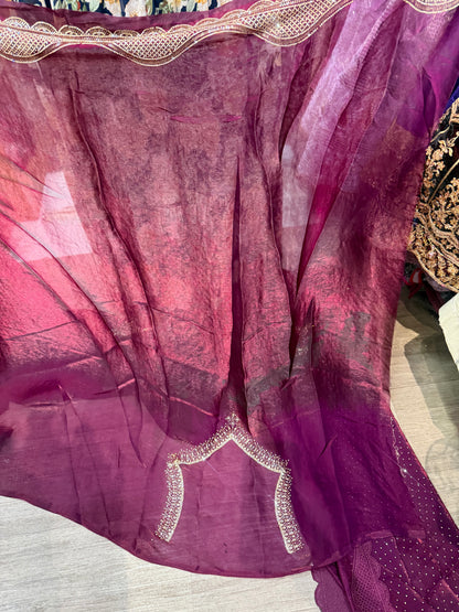 Beautiful designer fully embroidered Jimmy Choo saree