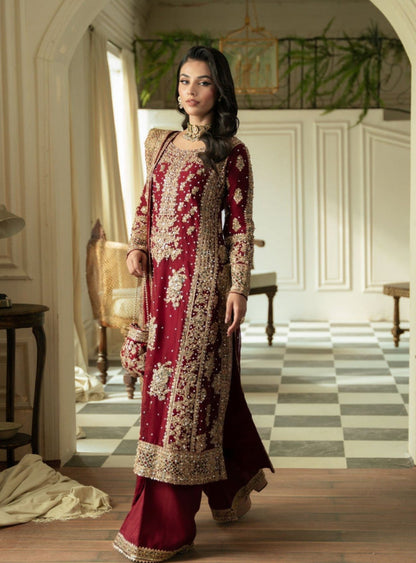 Beautiful designer plazo suit