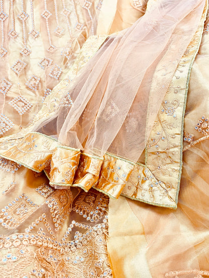 Beautiful designer semi stitch lengha choli