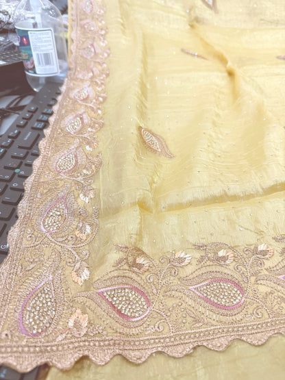 Beautiful designer fully embroidery saree