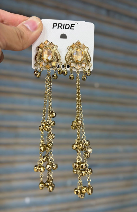 Beautiful designer Kashmiri earrings