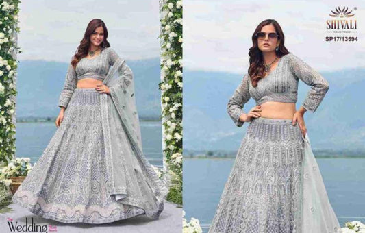 Beautiful designer lengha choli