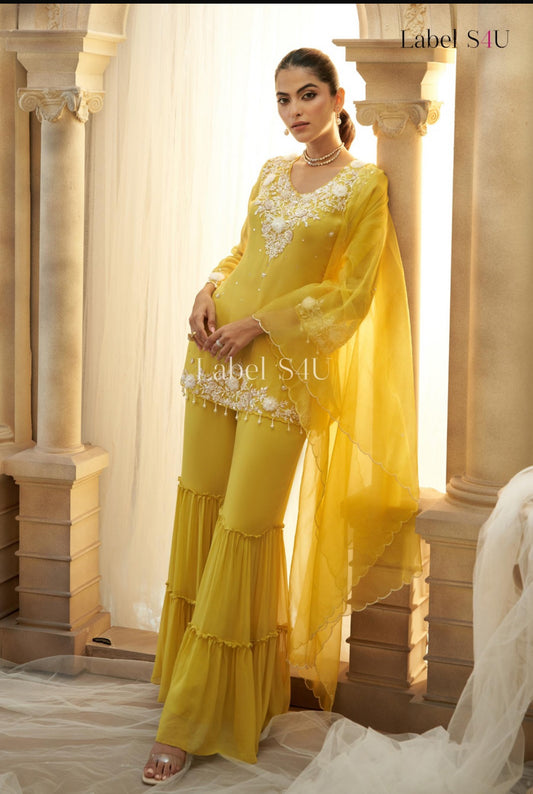 Beautiful designer sharara suit