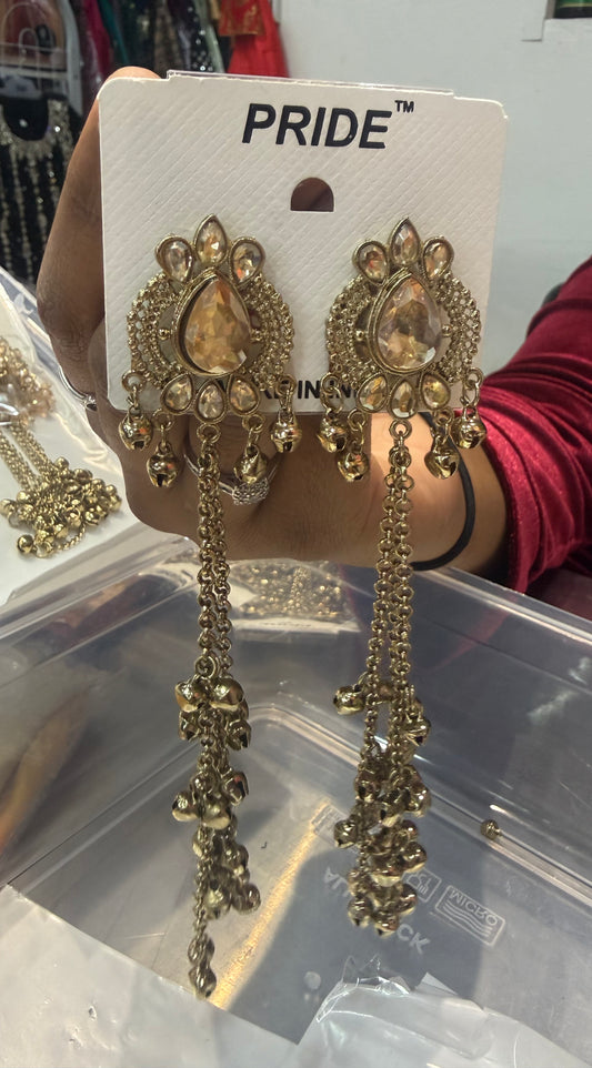 Beautiful designer Kashmiri earrings
