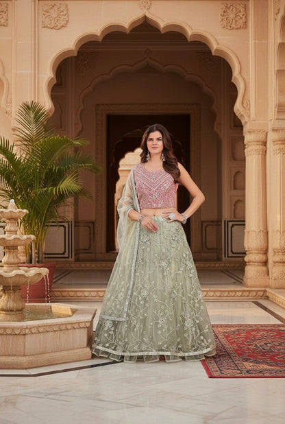 Beautiful designer lengha choli