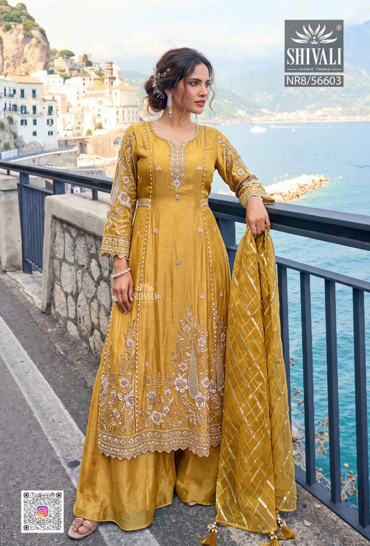 Beautiful designer Plazo suit