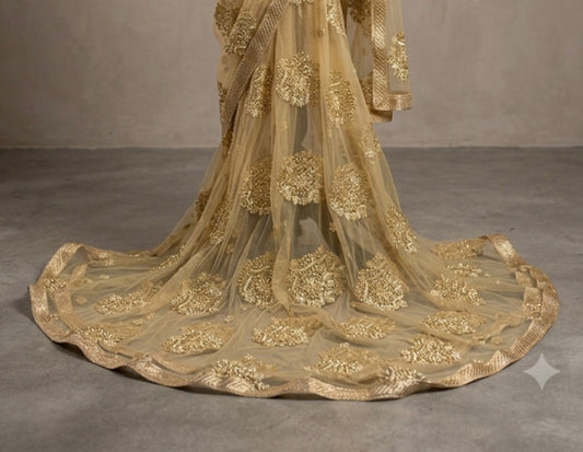 Beautiful designer fully Embroidery dupatta