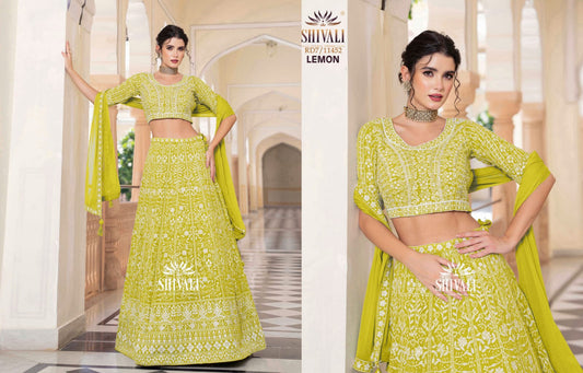 Beautiful designer lucknowi Embroidery lengha choli