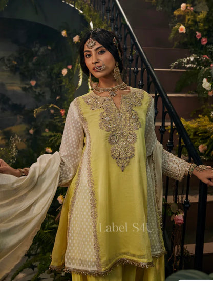 Beautiful designer farashi salwar suit