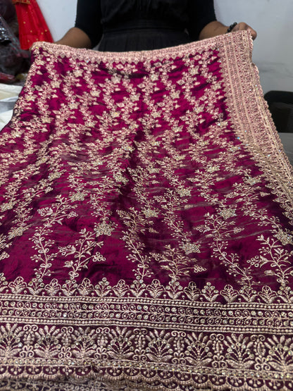Beautiful designer fully embroidered Jimmy Choo saree