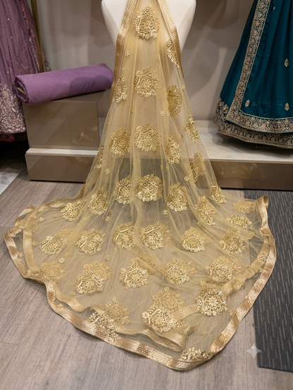 Beautiful designer fully Embroidery dupatta