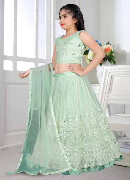 Beautiful designer lucknowi embroidery lengha choli