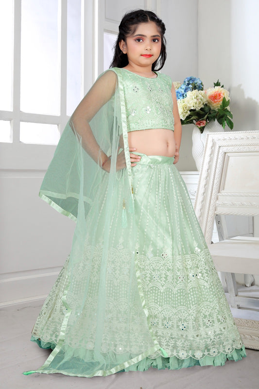 Beautiful designer lucknowi embroidery lengha choli