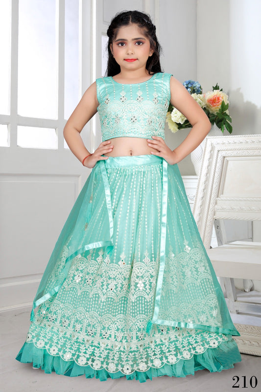 Beautiful designer lucknowi embroidery lengha choli