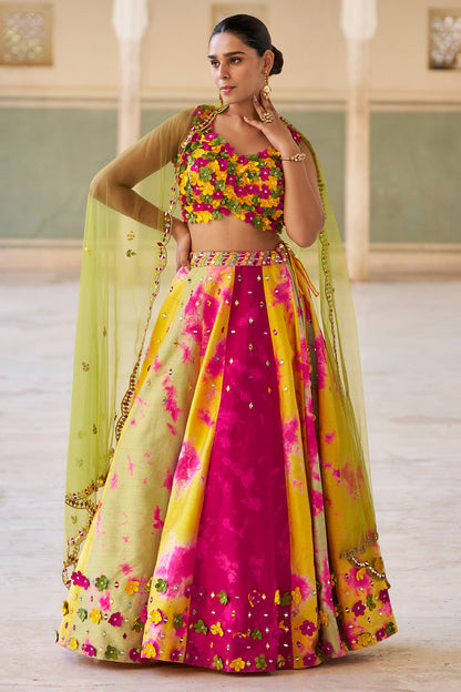 Beautiful designer indo western style lengha choli