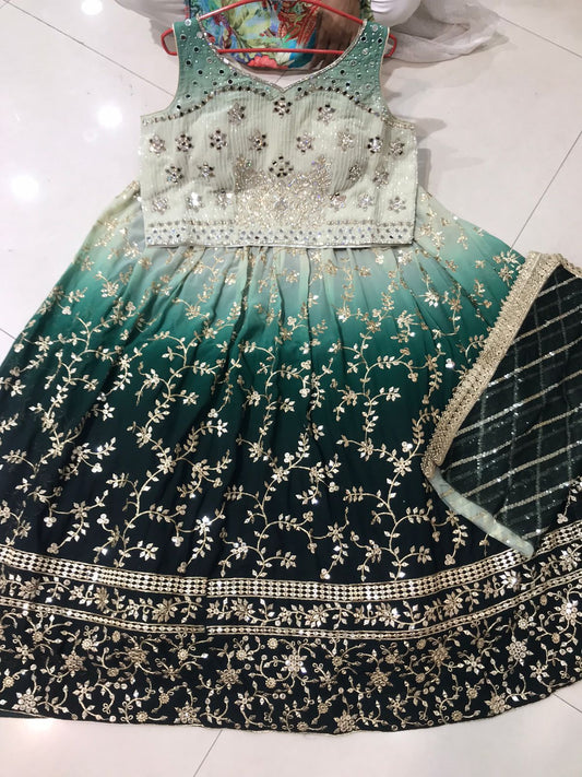 Beautiful designer heavily embroidery lengha choli suit