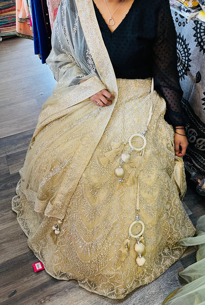 Beautiful designer bridal lengha